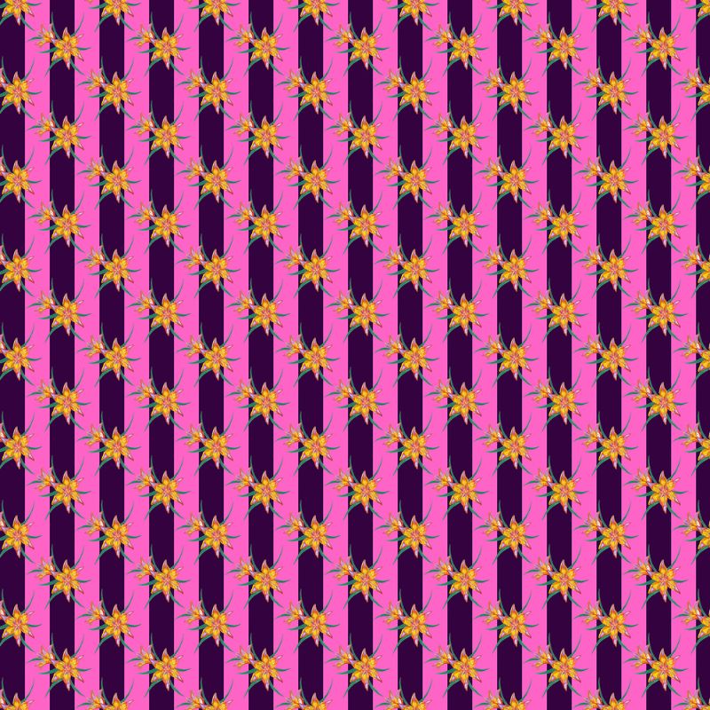 RASPBERRY